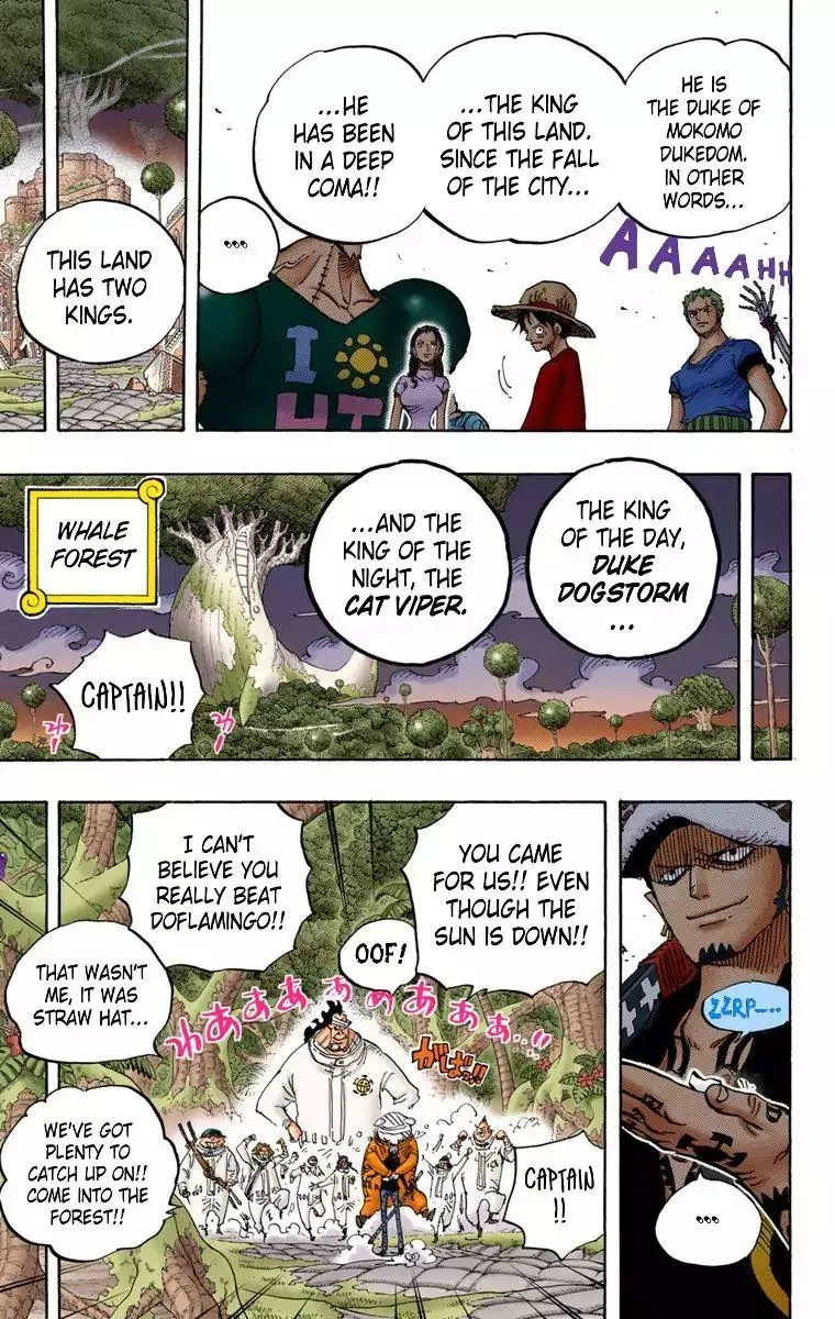 One Piece - Colored Chapter 807 page 20