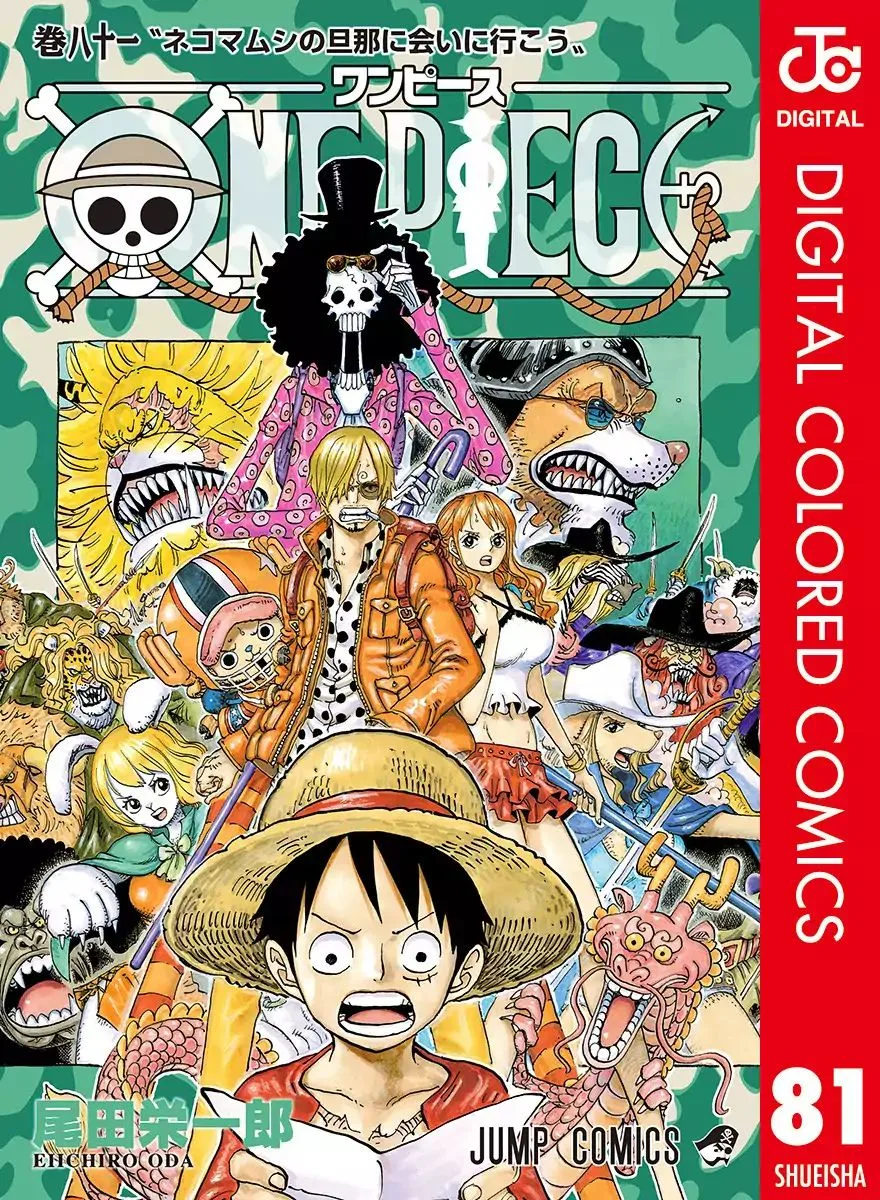 One Piece - Colored Chapter 807 page 1