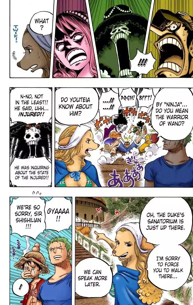 One Piece - Colored Chapter 808 page 11