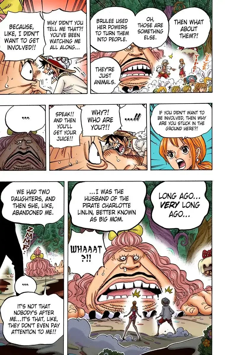 One Piece - Colored Chapter 835 page 17