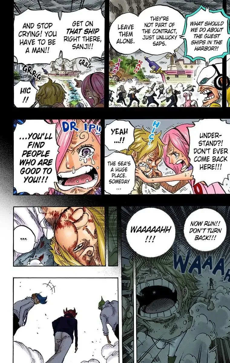 One Piece - Colored Chapter 841 page 14