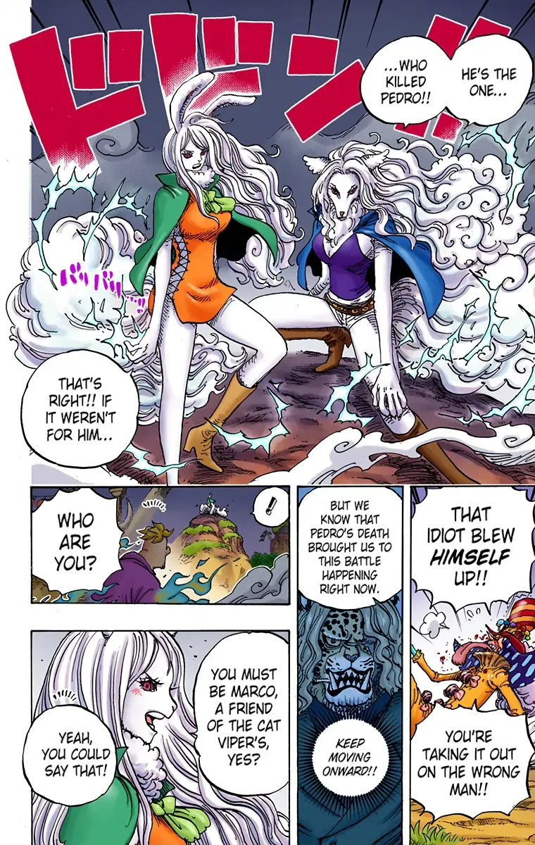 One Piece - Colored Chapter 995 page 13
