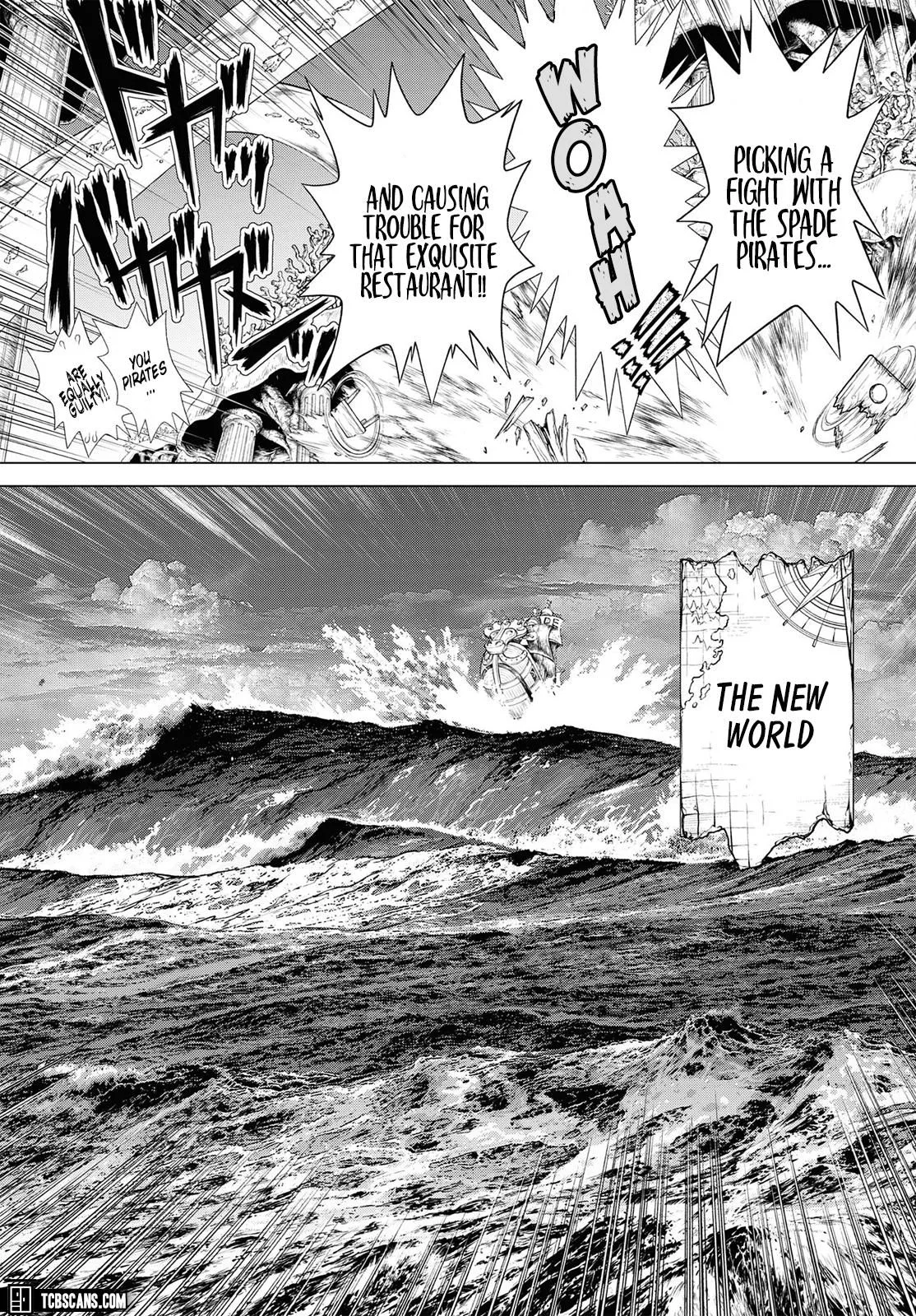 One Piece Chapter 1003.5 page 16