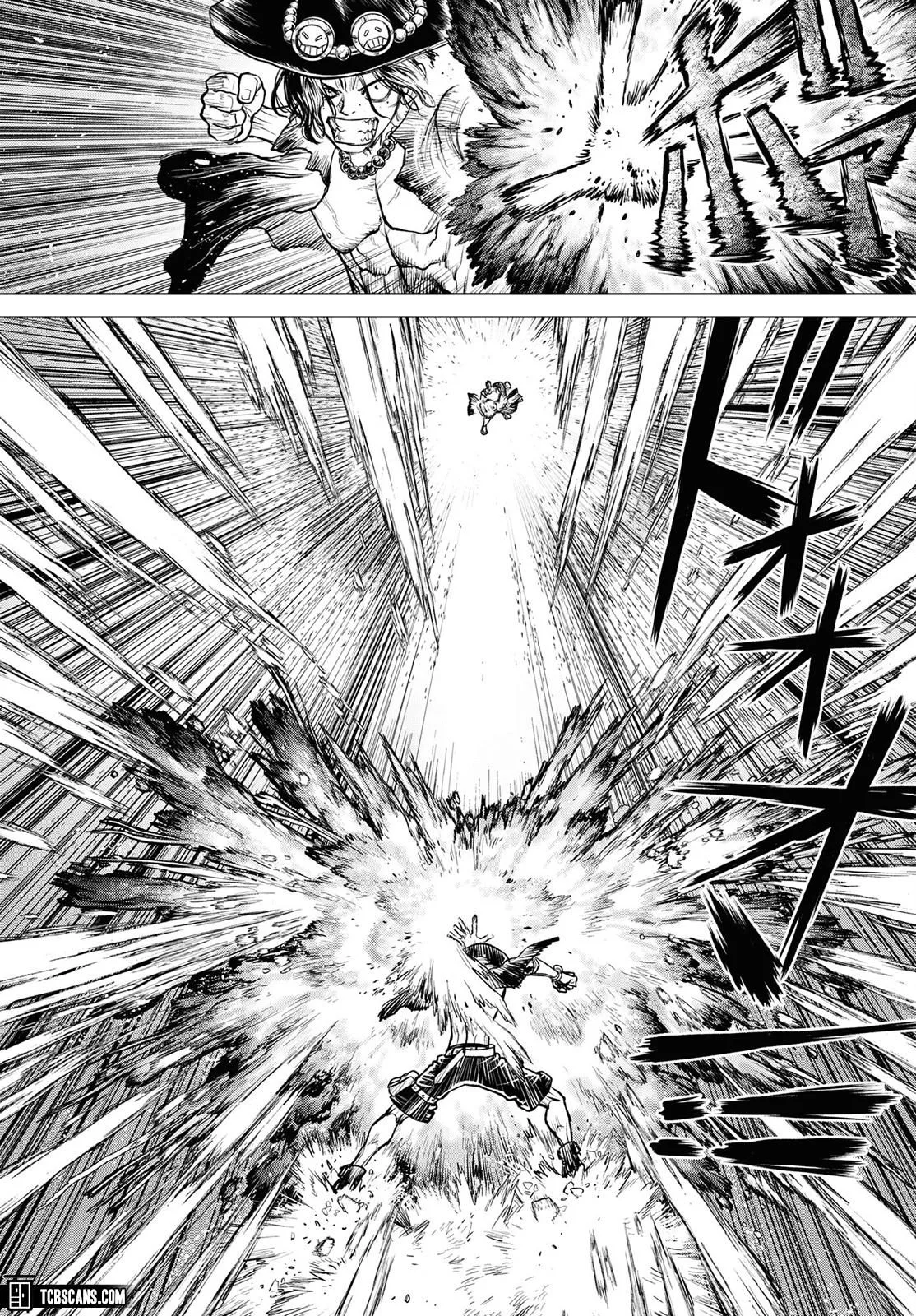 One Piece Chapter 1003.5 page 27