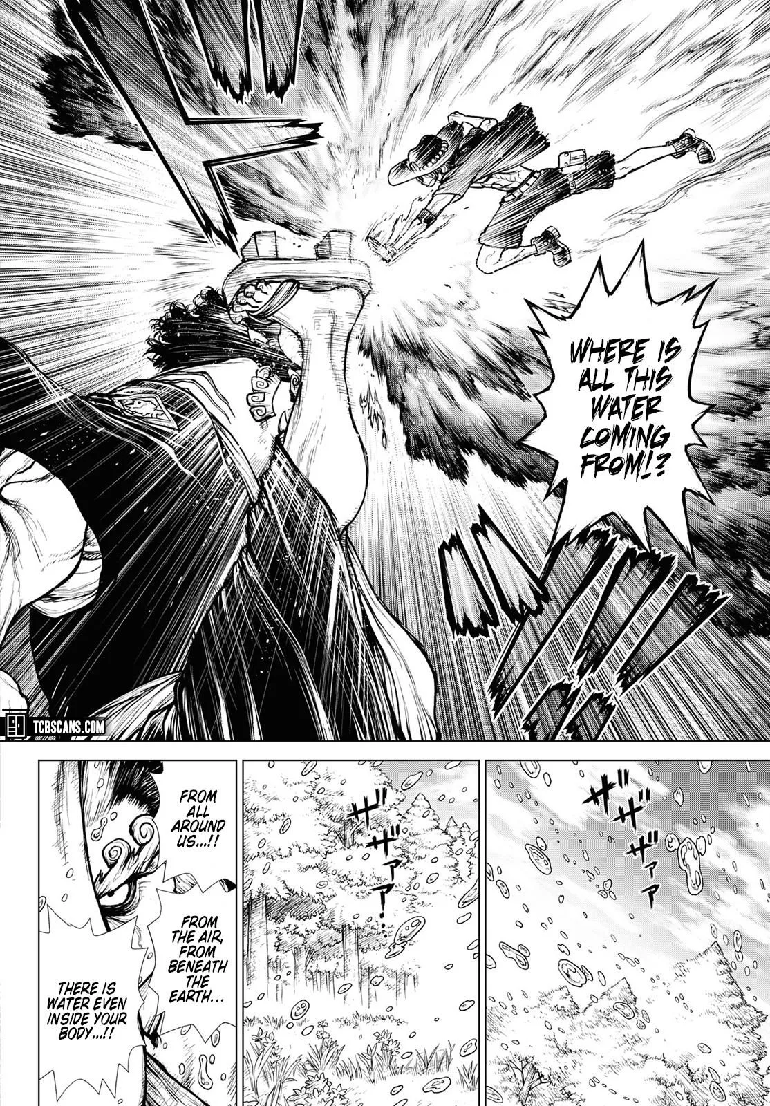One Piece Chapter 1003.5 page 33