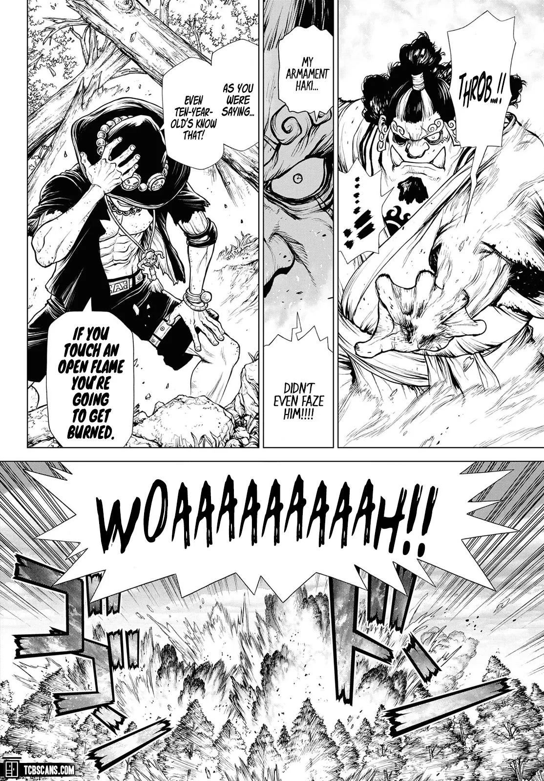 One Piece Chapter 1003.5 page 37