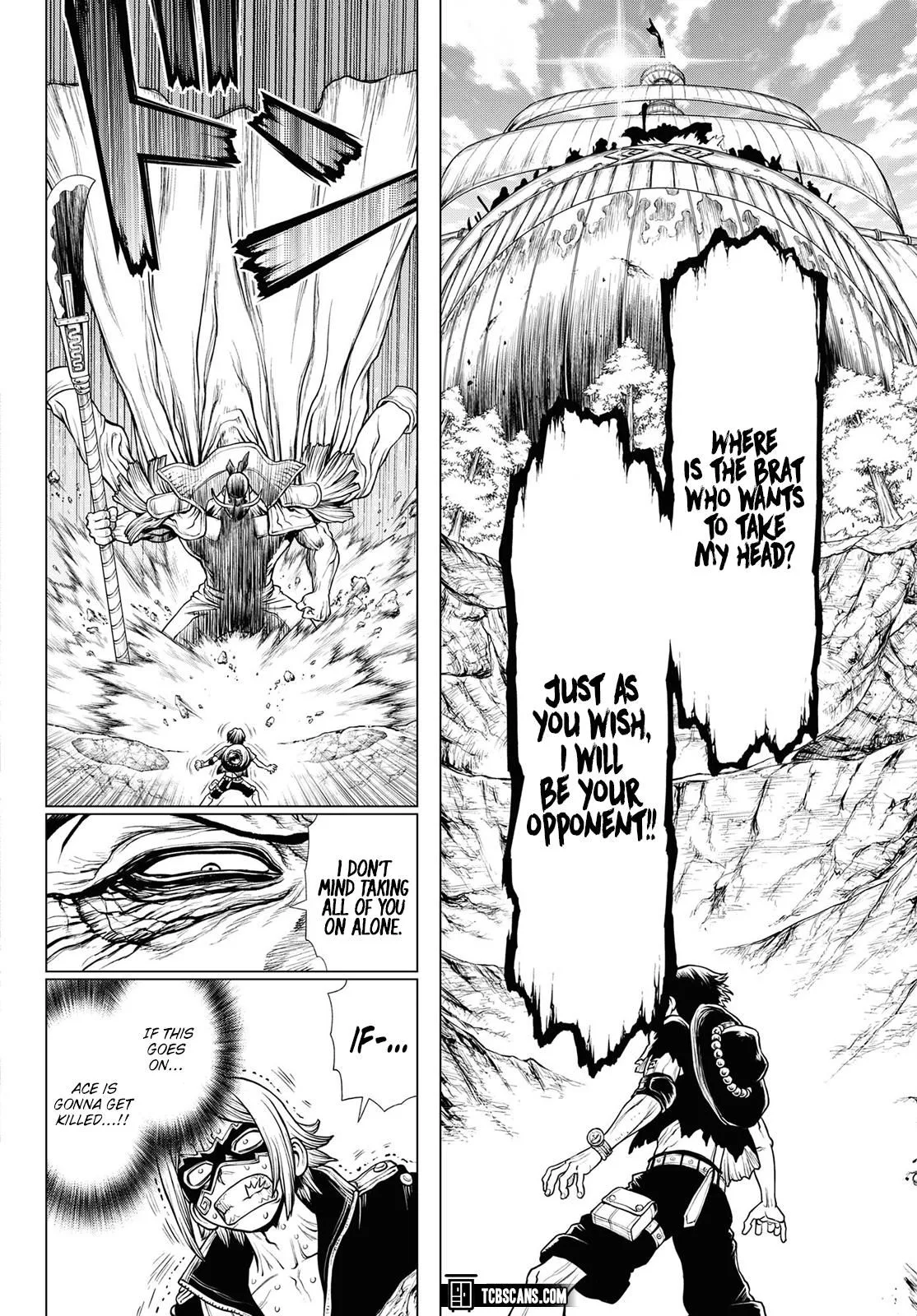One Piece Chapter 1003.5 page 42