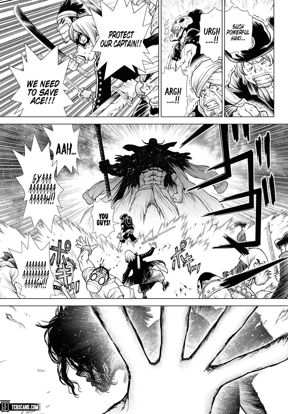 One Piece Chapter 1003.5 page 43