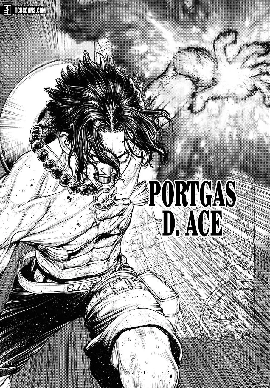 One Piece Chapter 1003.5 page 49