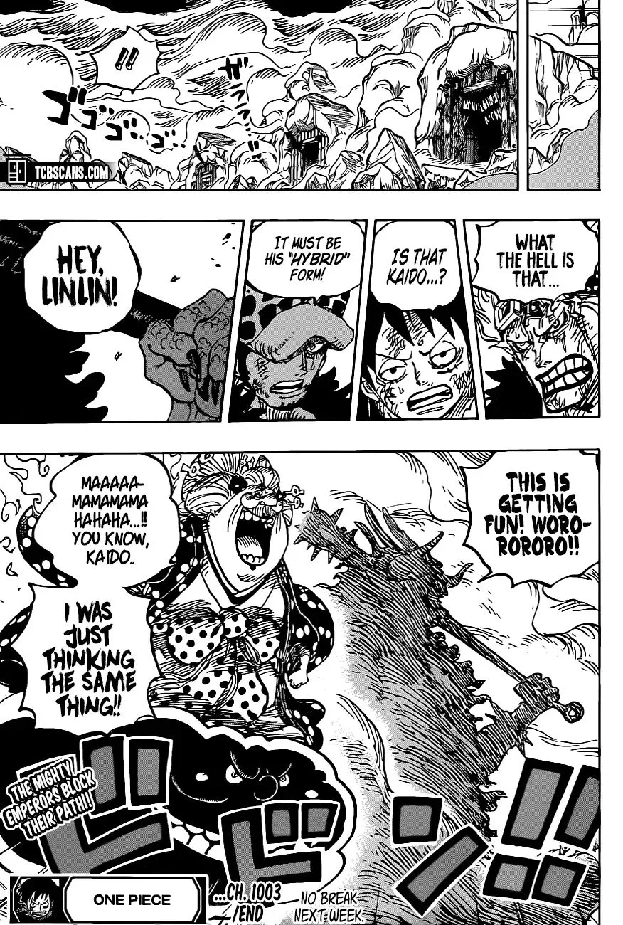 One Piece Chapter 1003 page 14