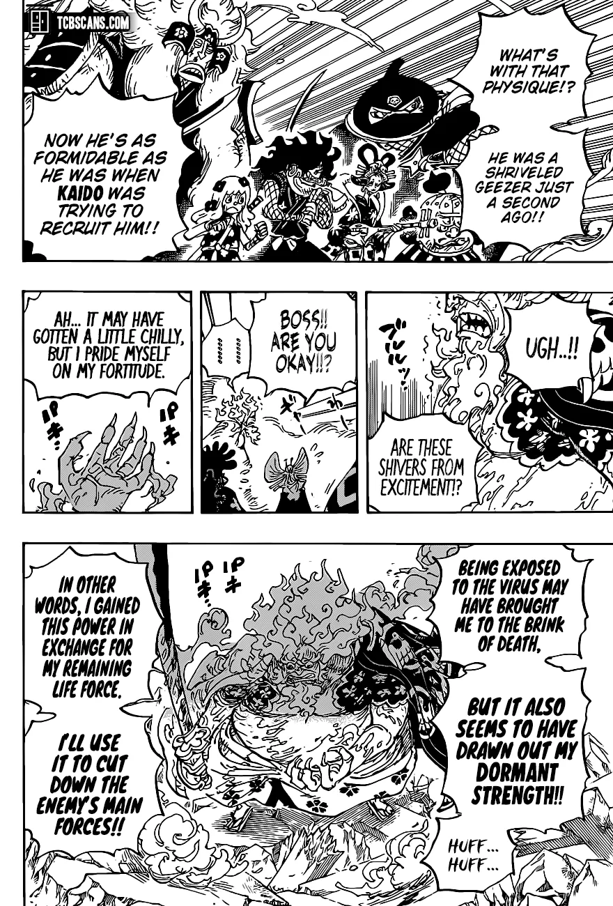 One Piece Chapter 1006 page 11