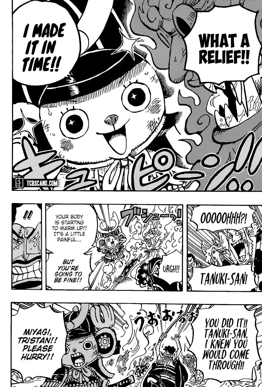 One Piece Chapter 1007 page 10
