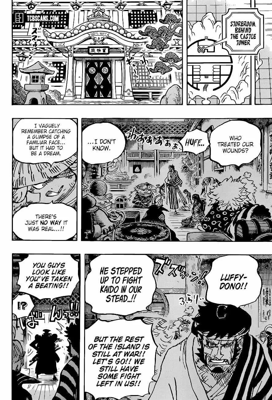 One Piece Chapter 1007 page 17