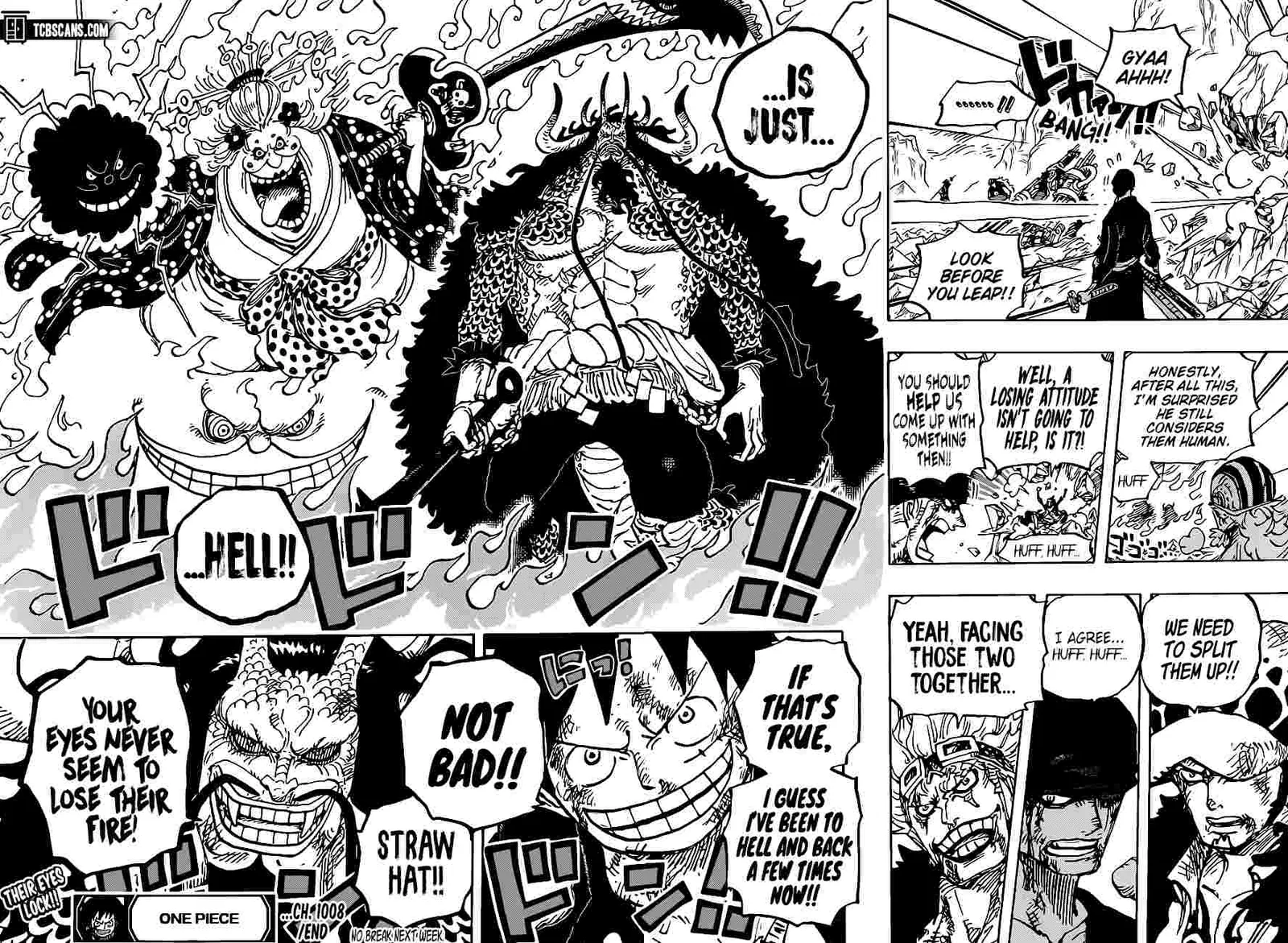 One Piece Chapter 1008 page 17