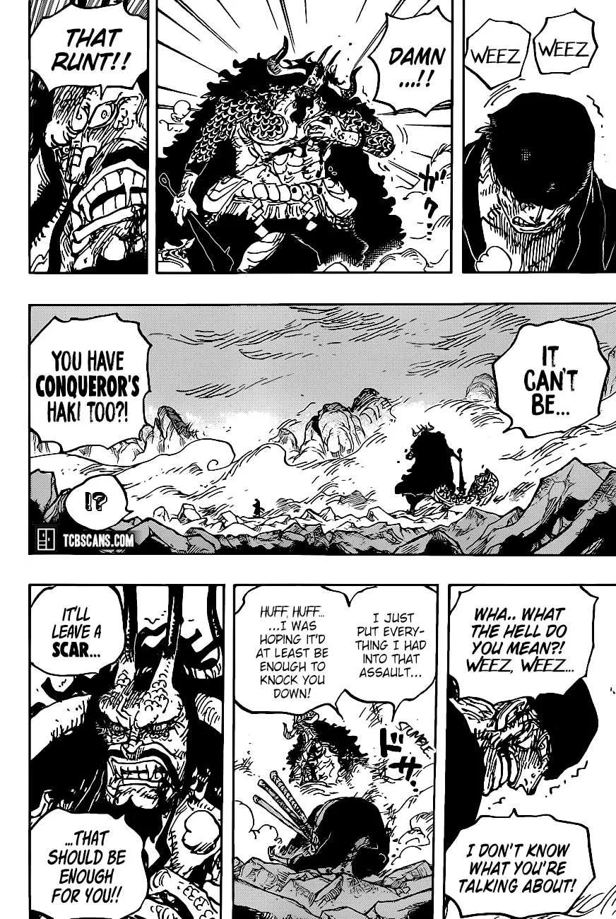 One Piece Chapter 1010 page 10