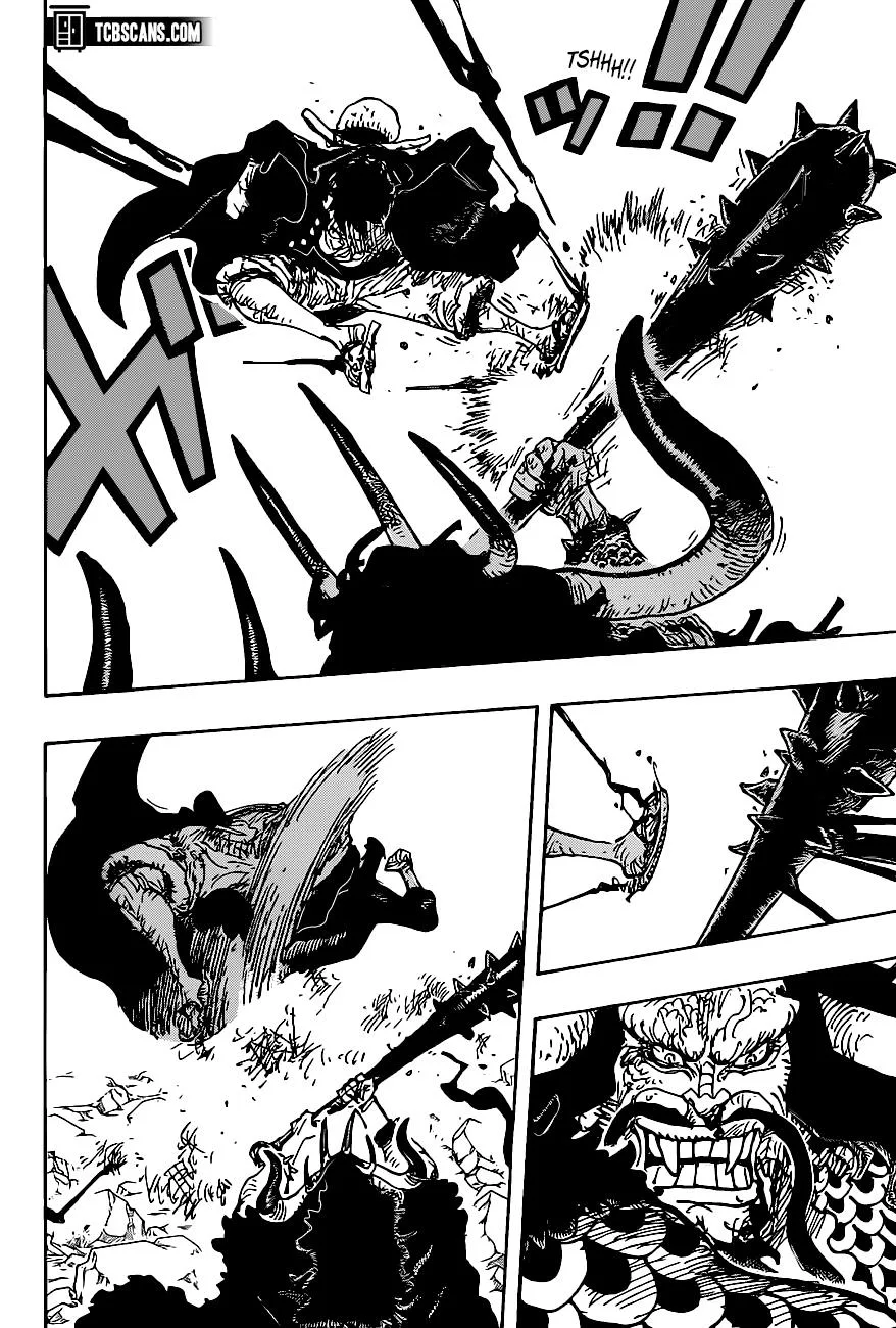 One Piece Chapter 1010 page 14
