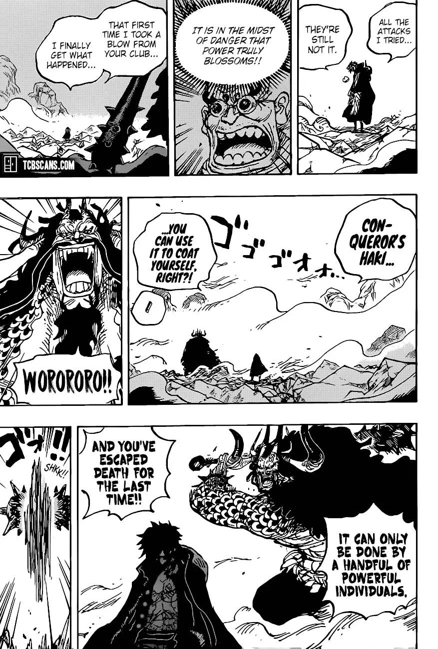One Piece Chapter 1010 page 13