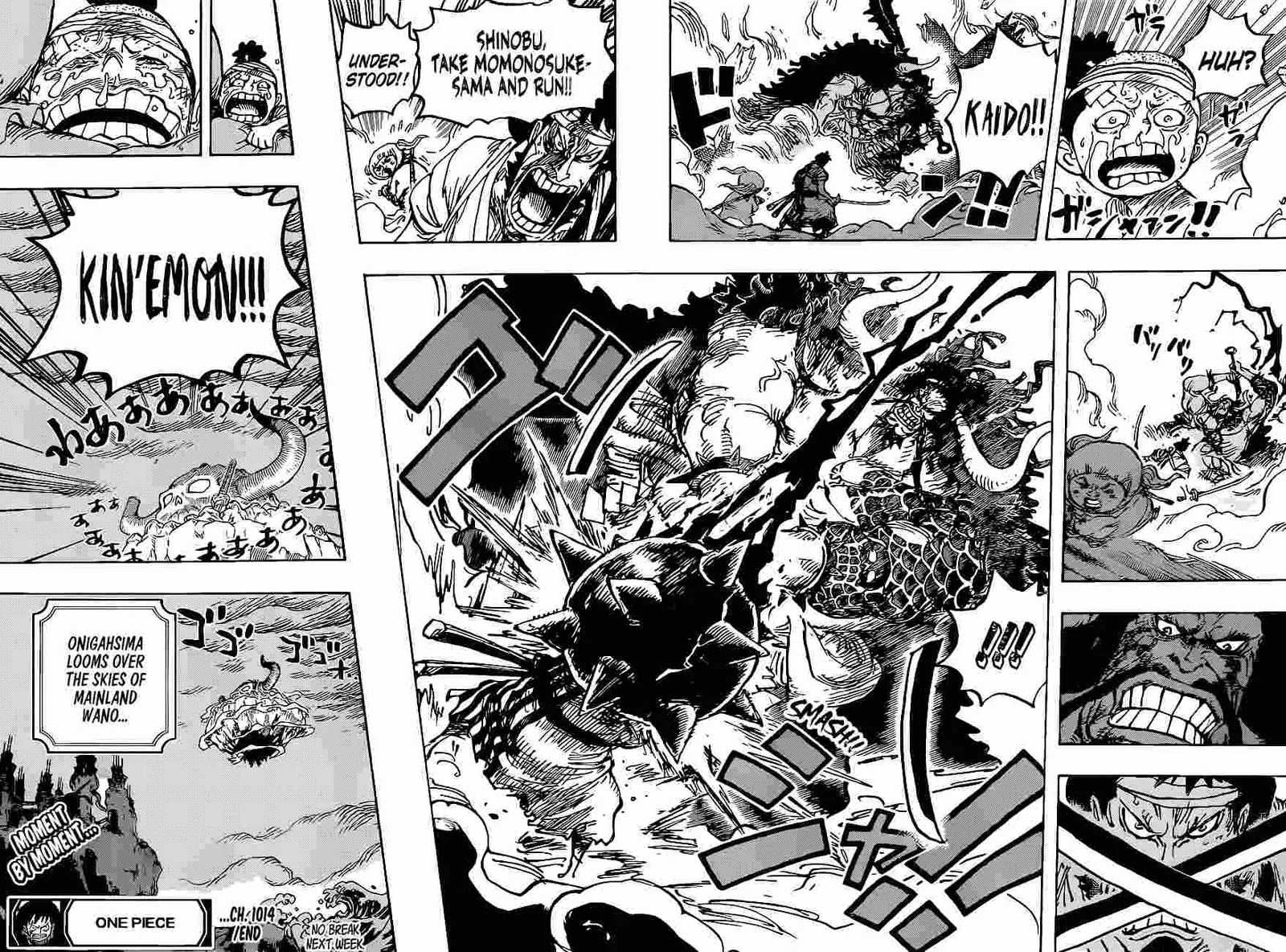 One Piece Chapter 1014 page 15