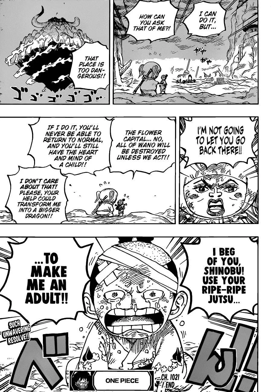 One Piece Chapter 1021 page 17