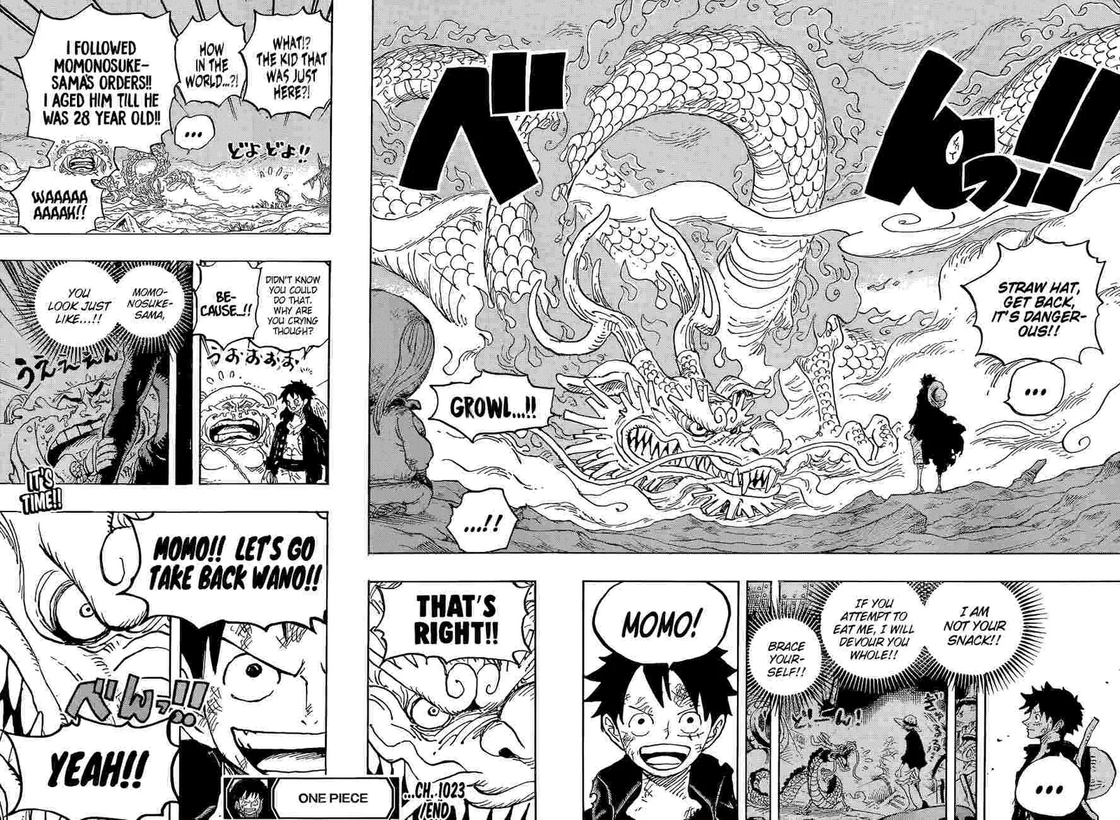 One Piece Chapter 1023 page 18