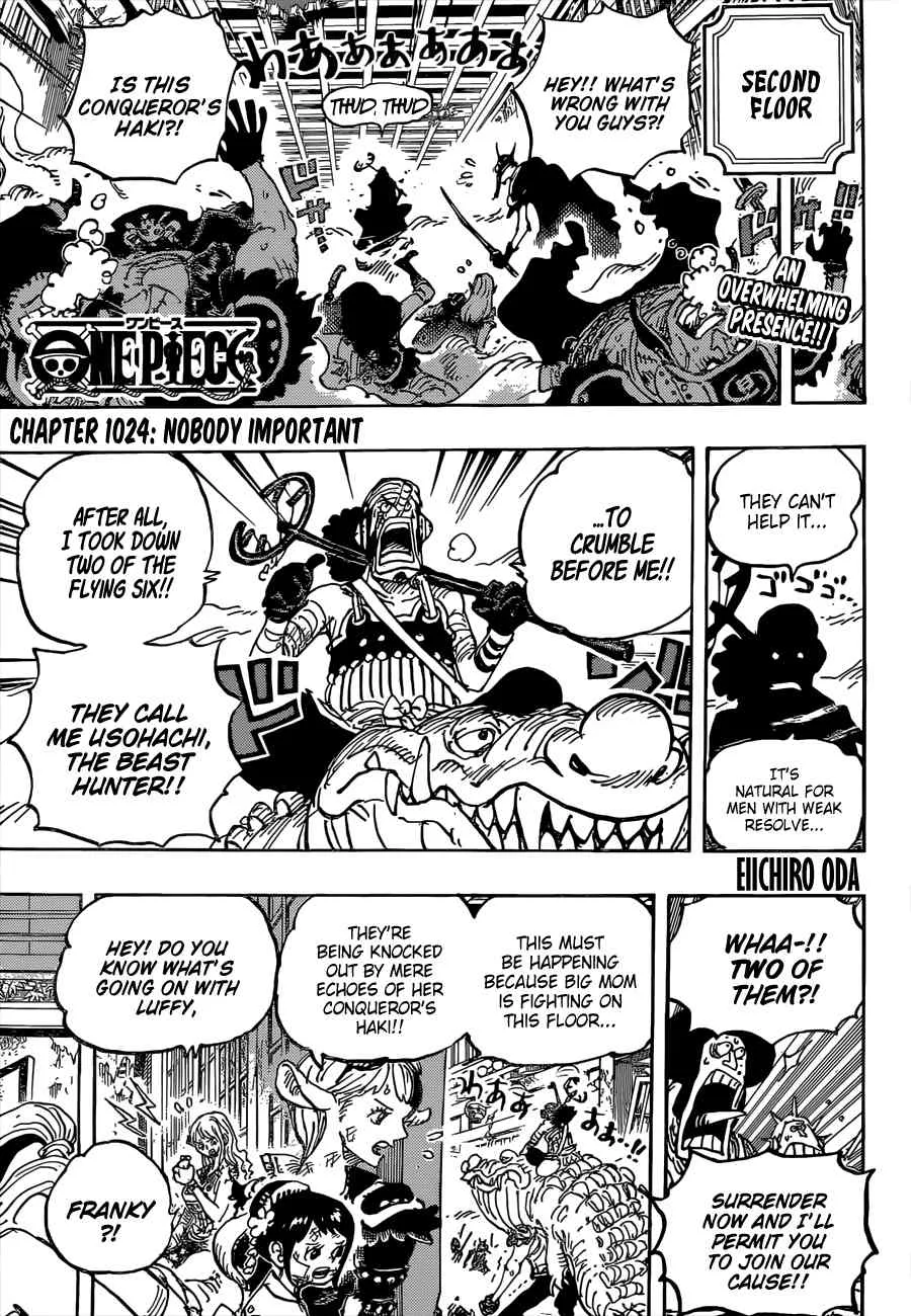 One Piece Chapter 1024 page 4