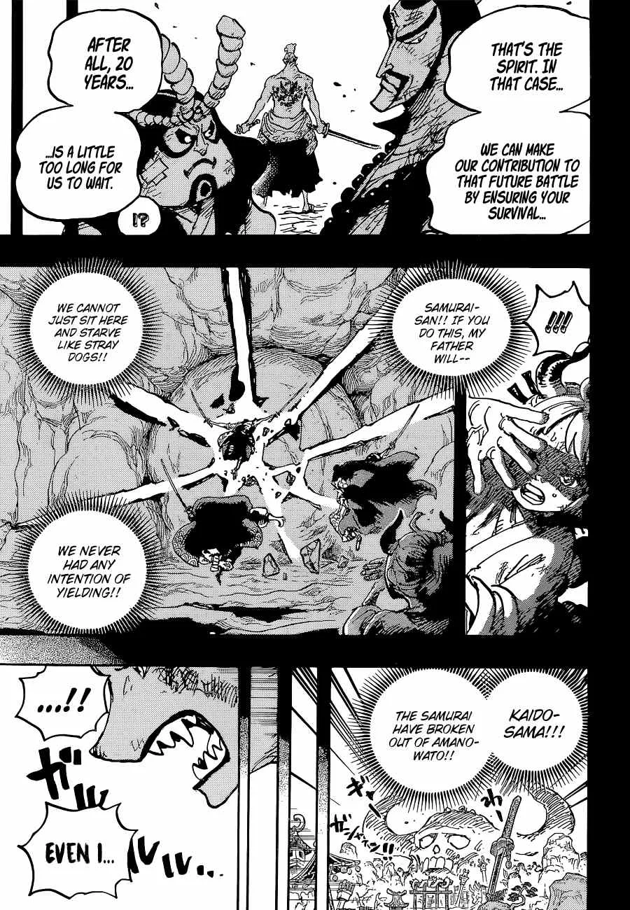 One Piece Chapter 1024 page 18