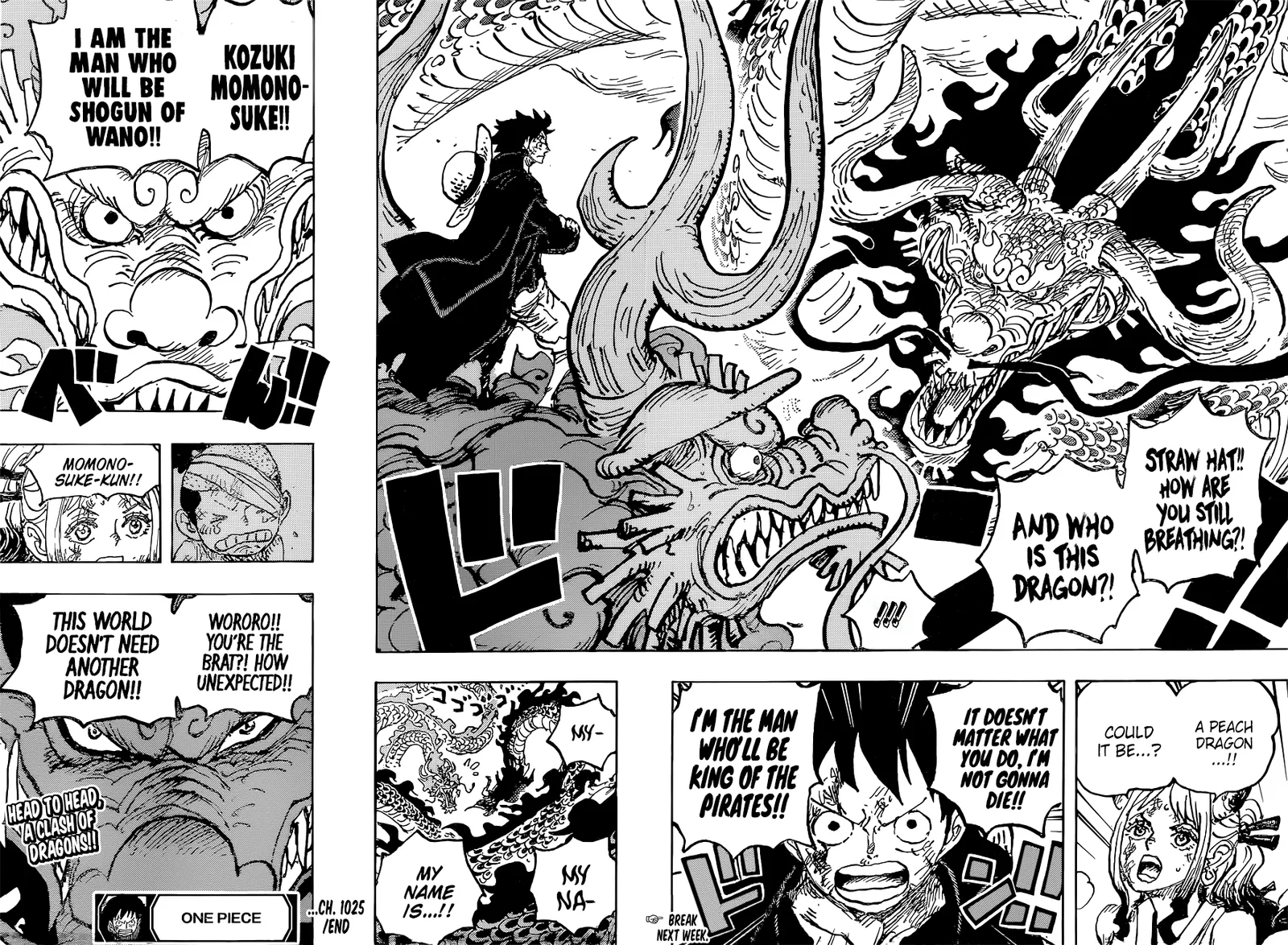One Piece Chapter 1025 page 16