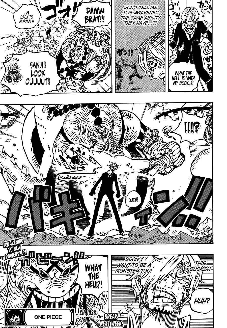 One Piece Chapter 1028 page 18
