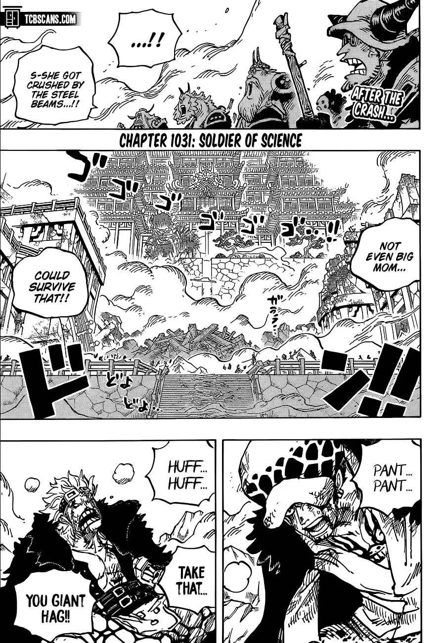 One Piece Chapter 1031 page 4