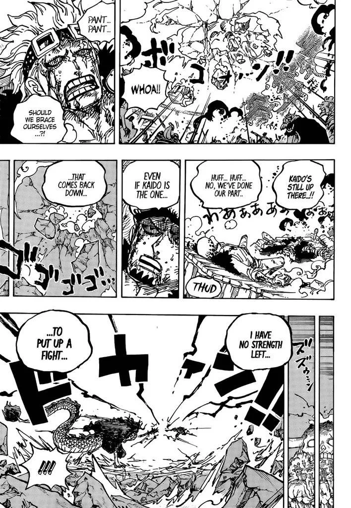 One Piece Chapter 1041 page 14