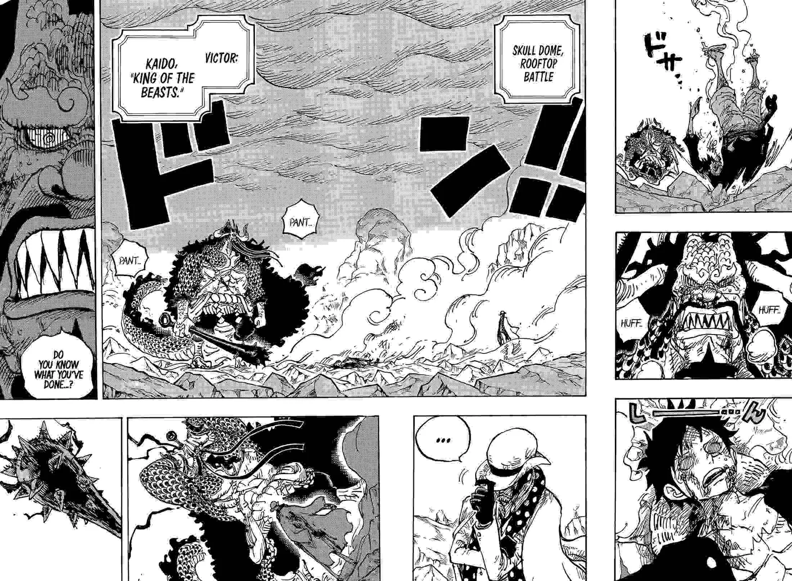 One Piece Chapter 1043 page 5