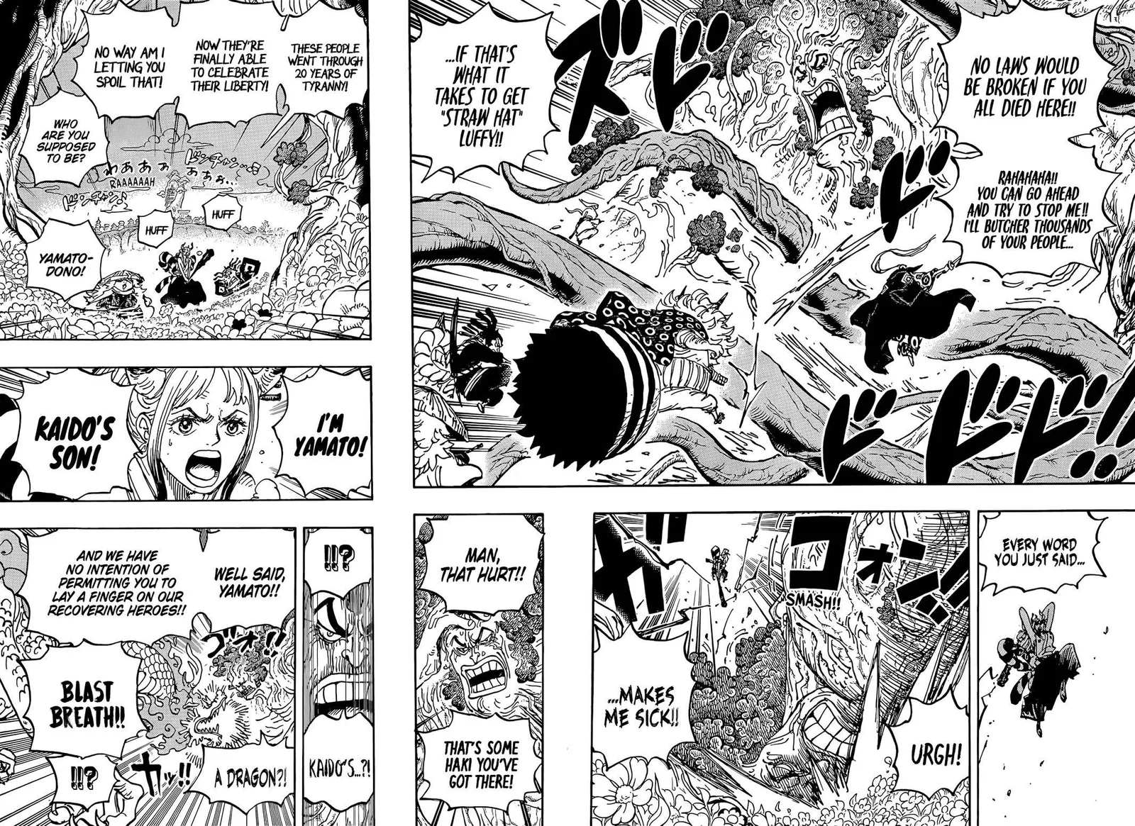 One Piece Chapter 1054 page 6