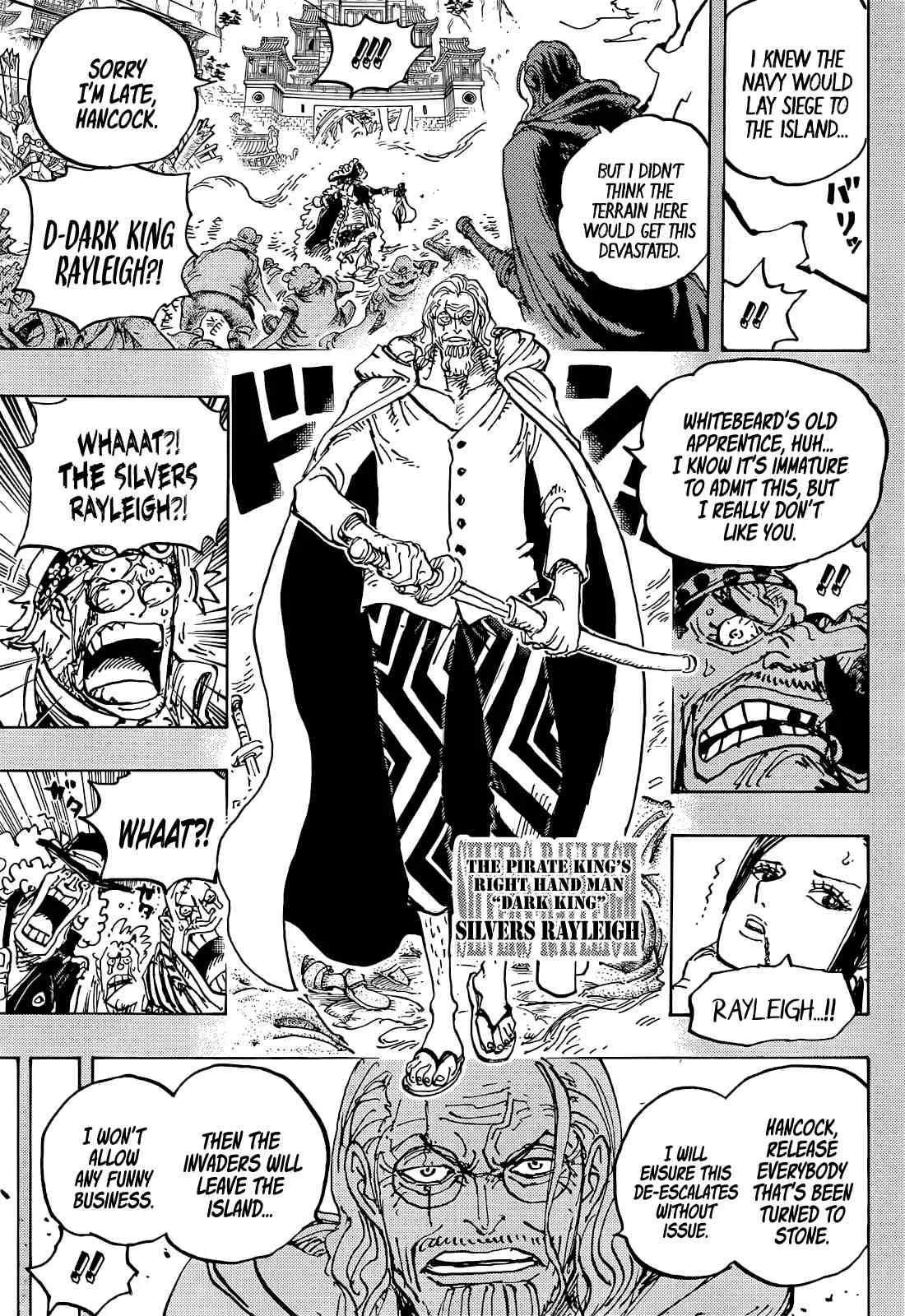 One Piece Chapter 1059 page 15