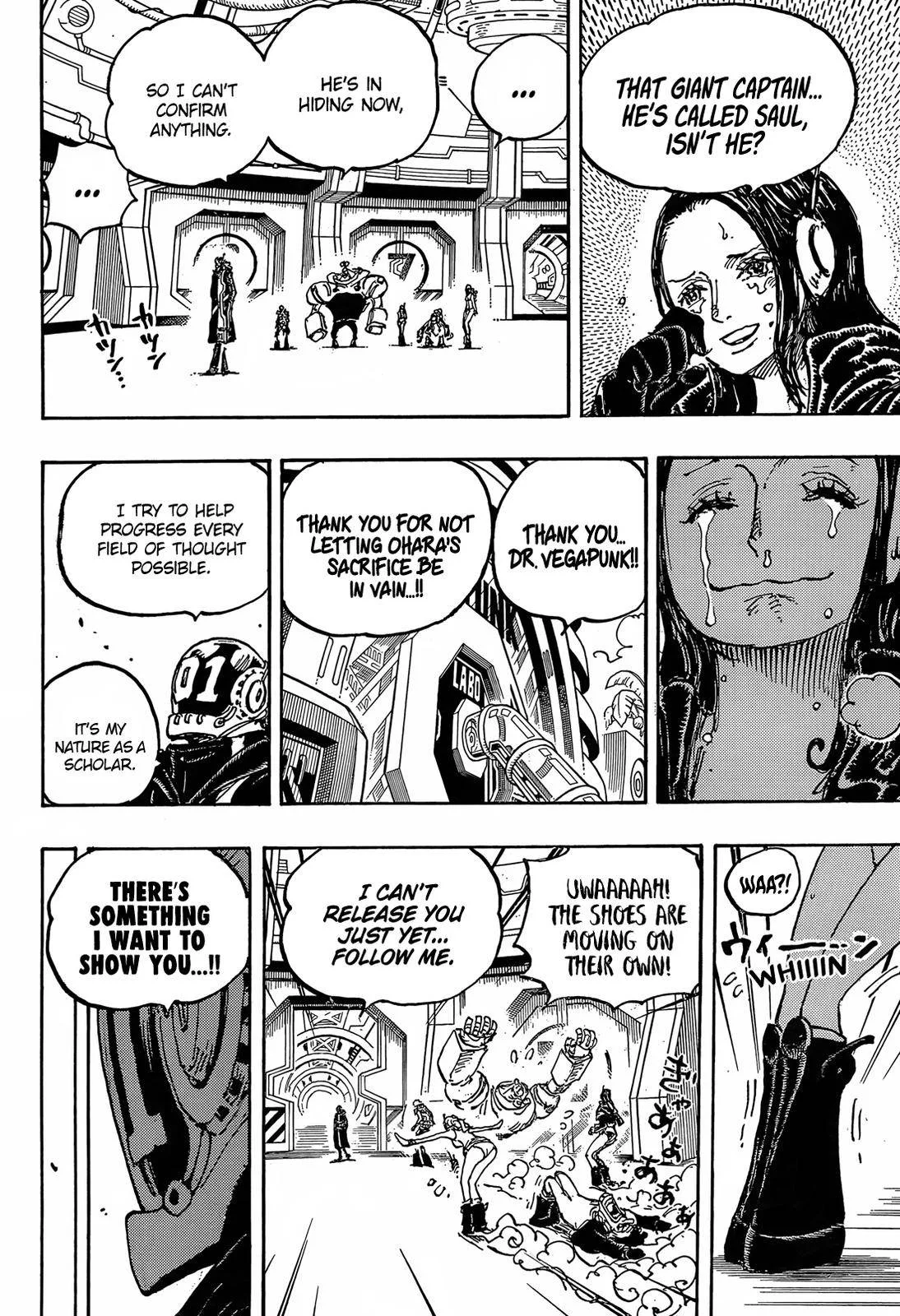 One Piece Chapter 1066 page 14