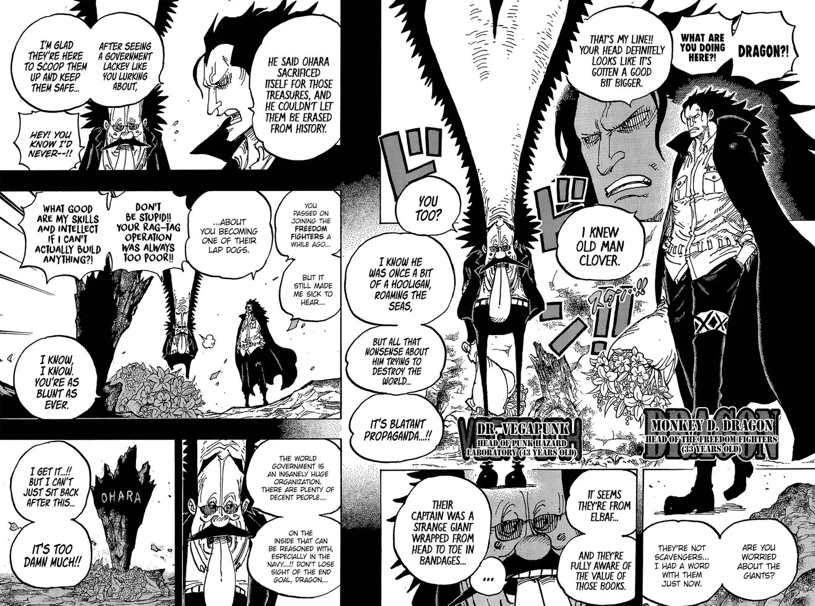 One Piece Chapter 1066 page 11