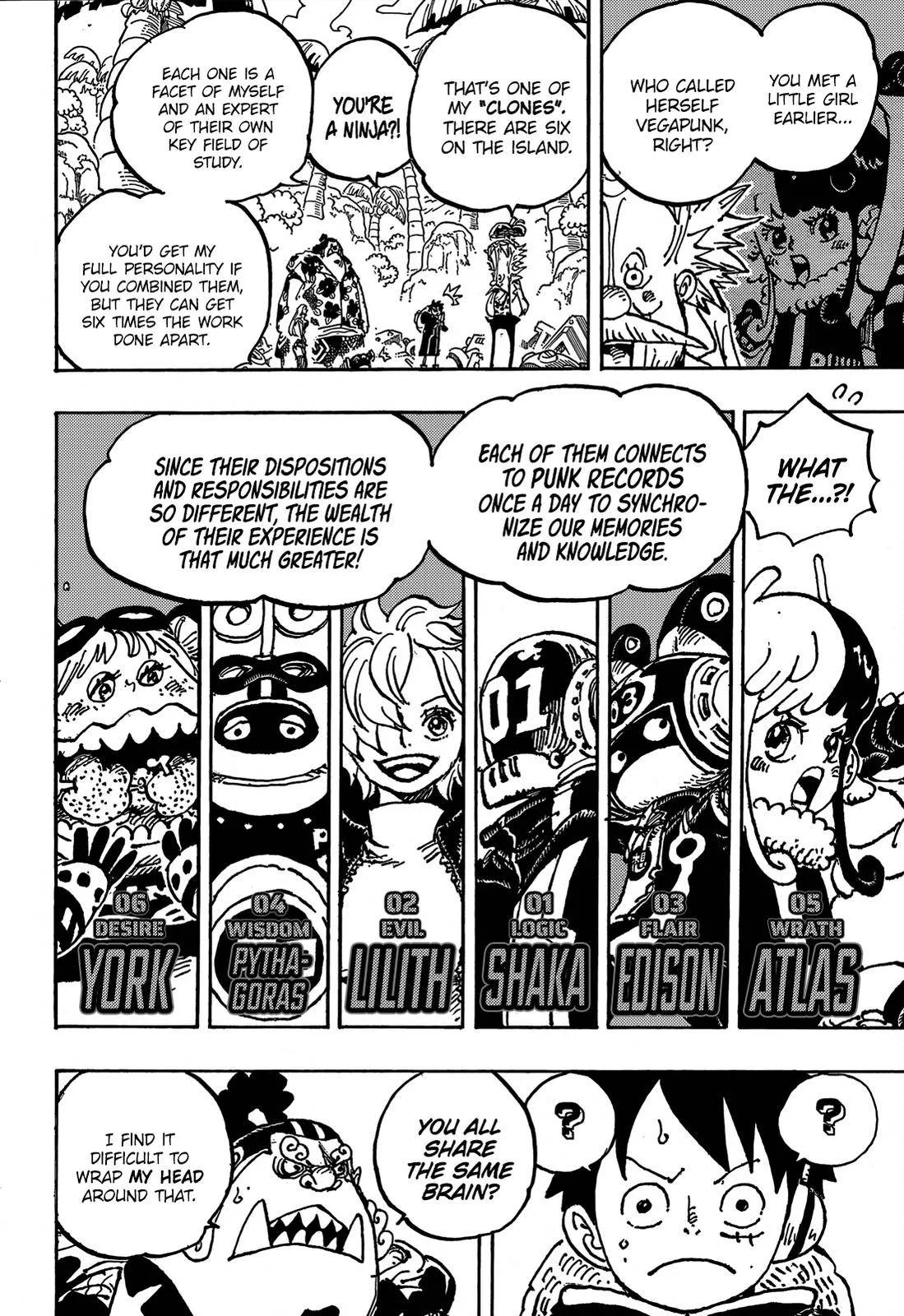 One Piece Chapter 1067 page 5
