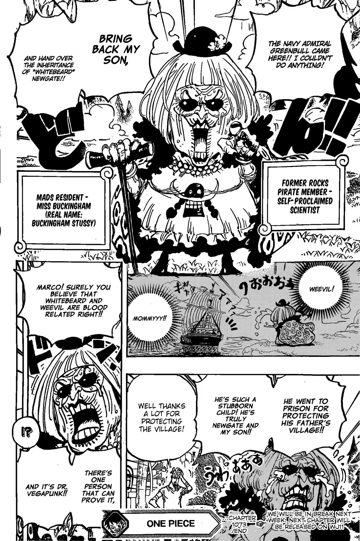 One Piece Chapter 1072.1 page 15