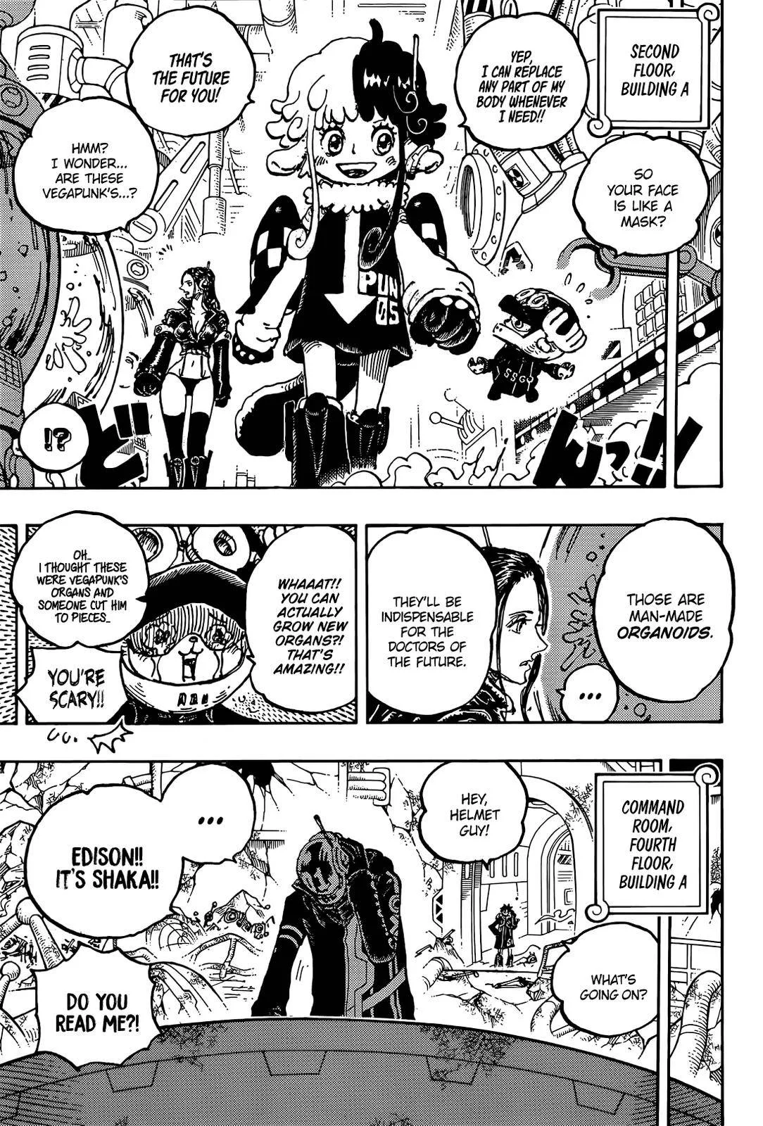 One Piece Chapter 1075 page 6