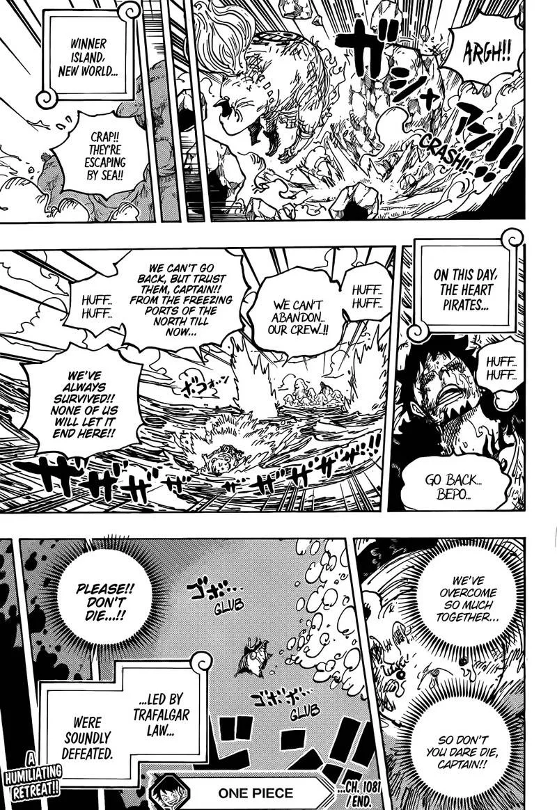 One Piece Chapter 1081 page 15