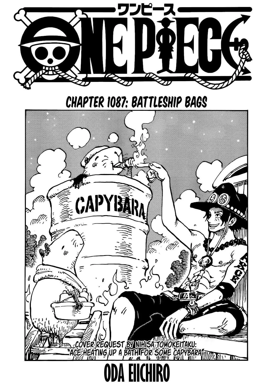 One Piece Chapter 1087 page 1
