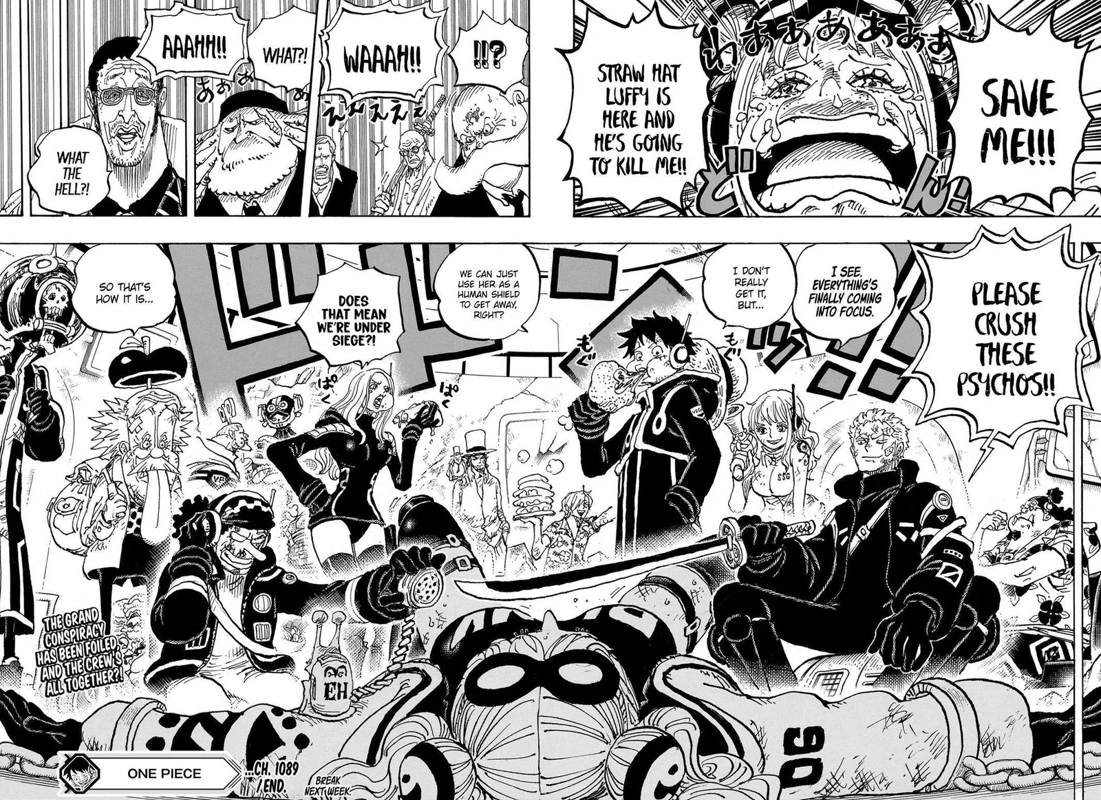 One Piece Chapter 1089 page 17