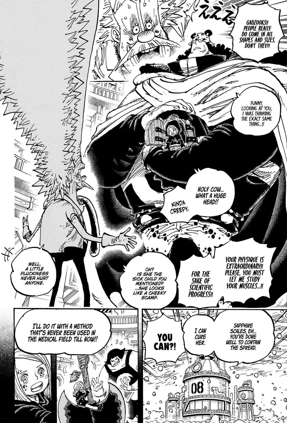 One Piece Chapter 1099 page 14
