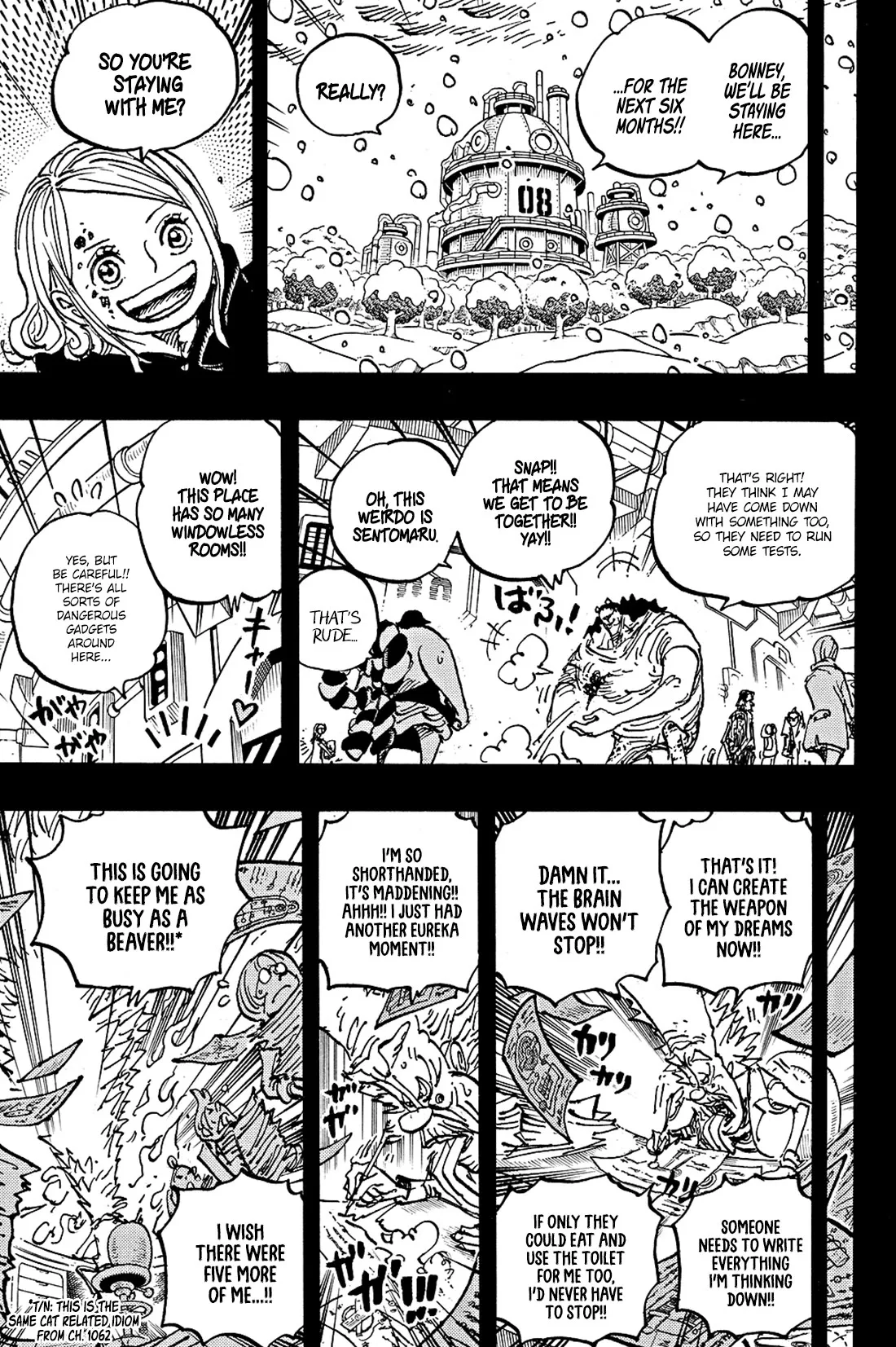 One Piece Chapter 1100 page 10