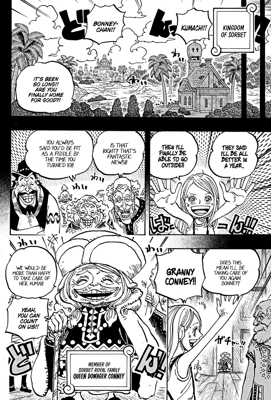 One Piece Chapter 1100 page 13