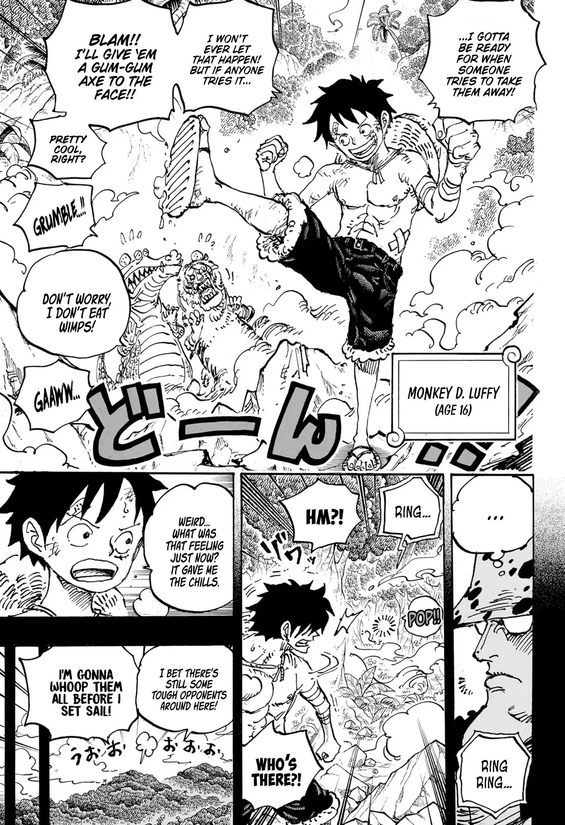 One Piece Chapter 1101 page 6