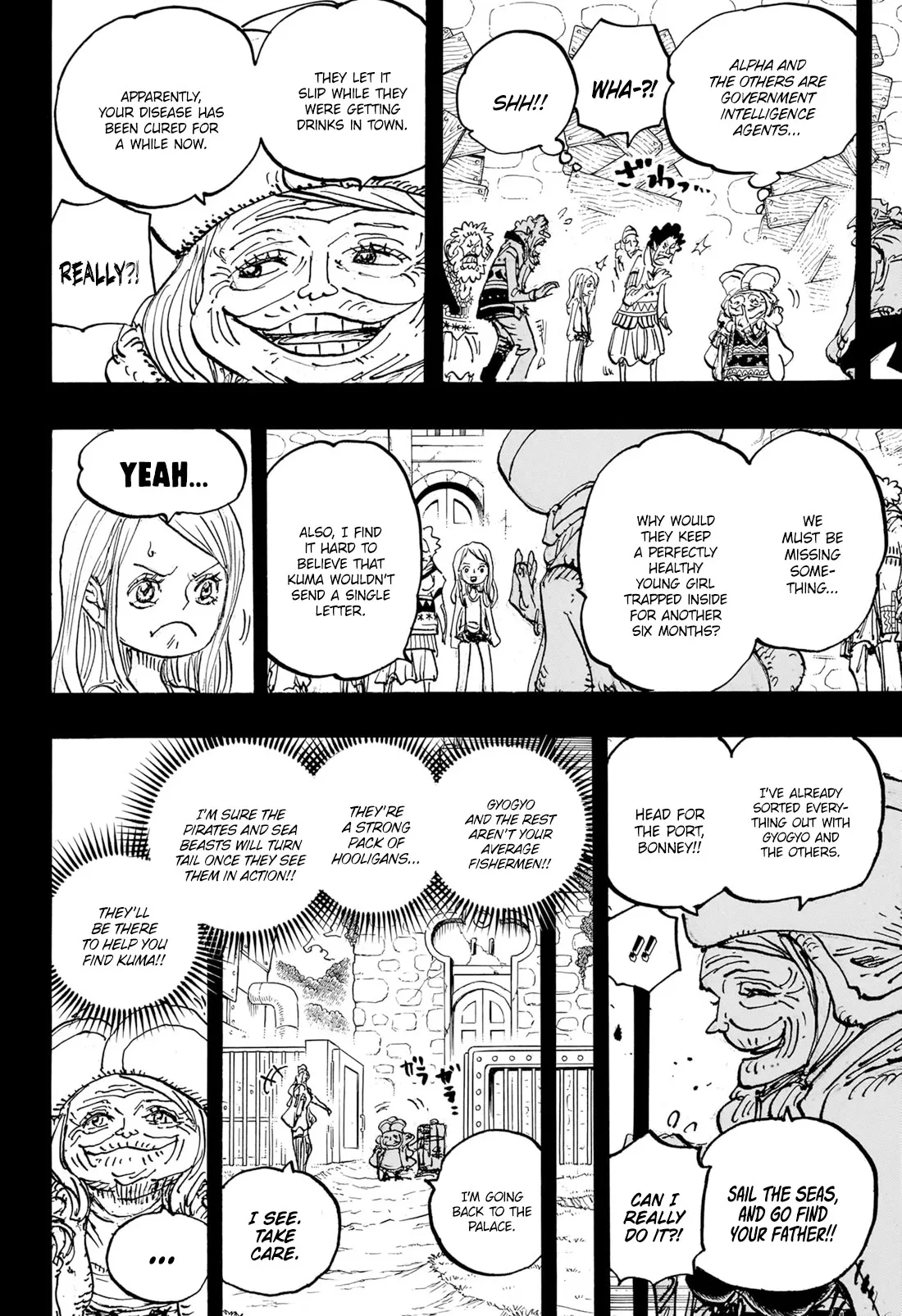 One Piece Chapter 1101 page 15