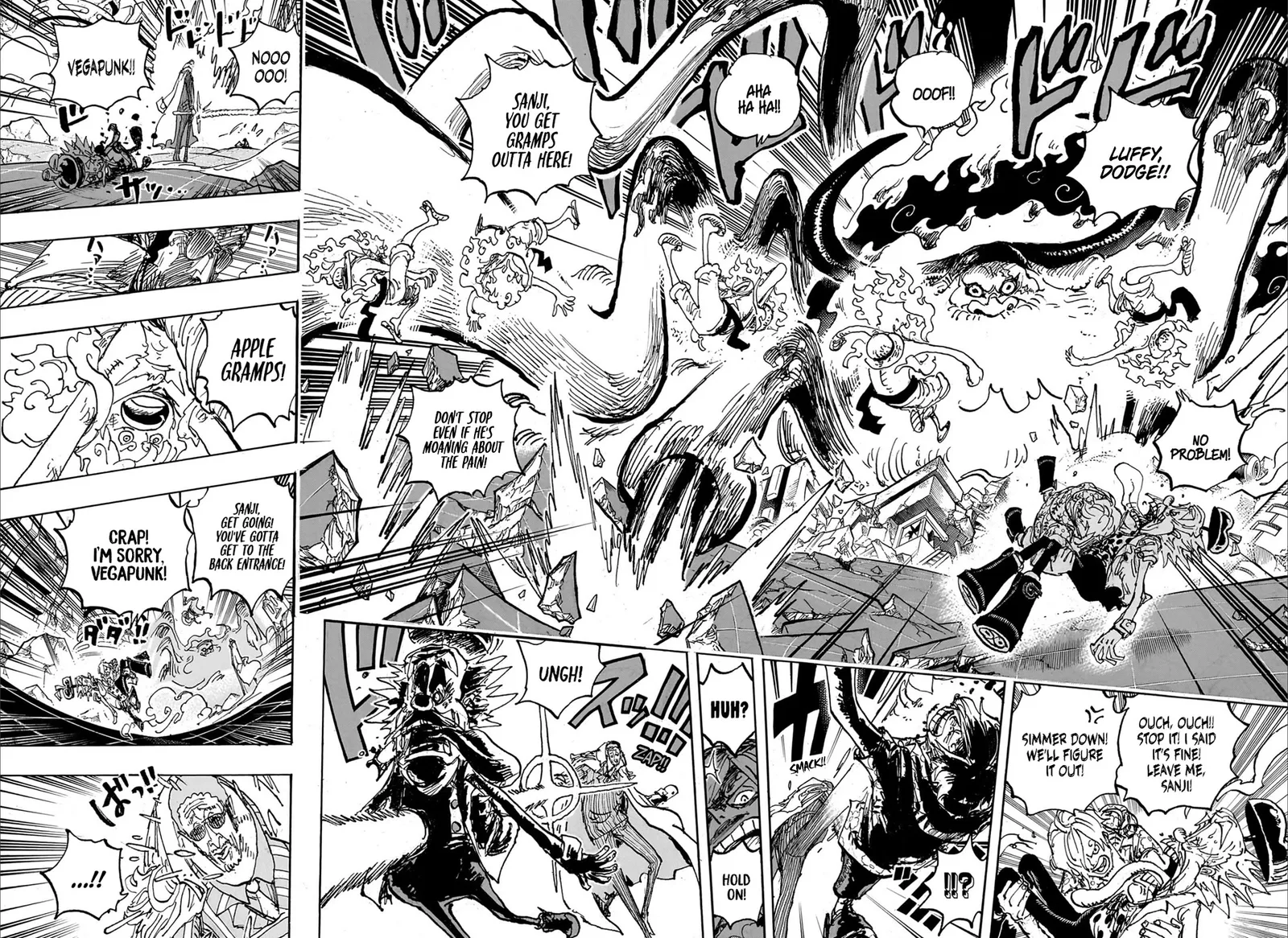 One Piece Chapter 1108 page 13