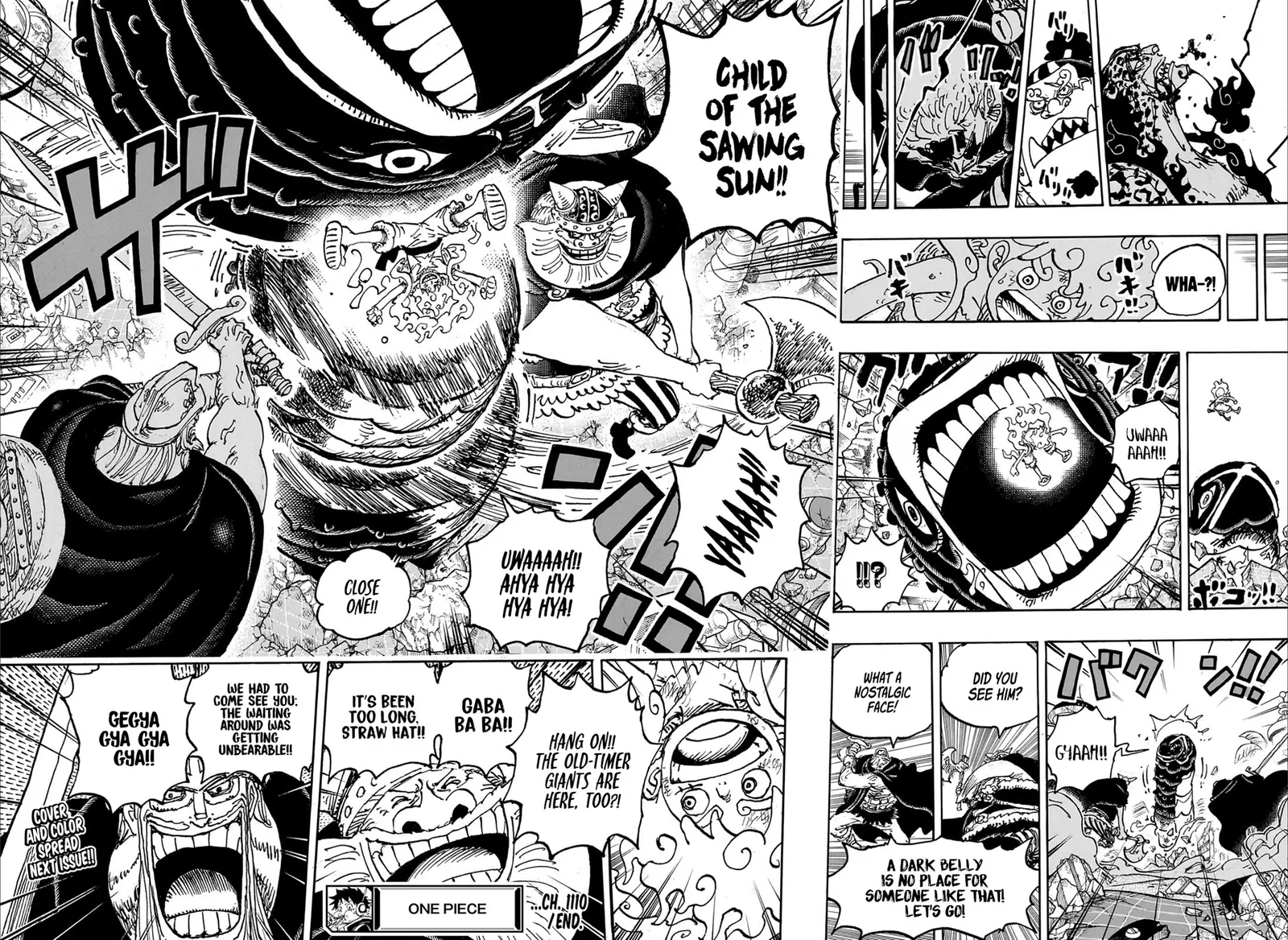 One Piece Chapter 1110 page 13