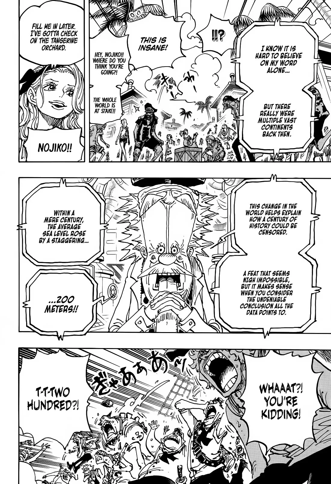 One Piece Chapter 1115 page 13