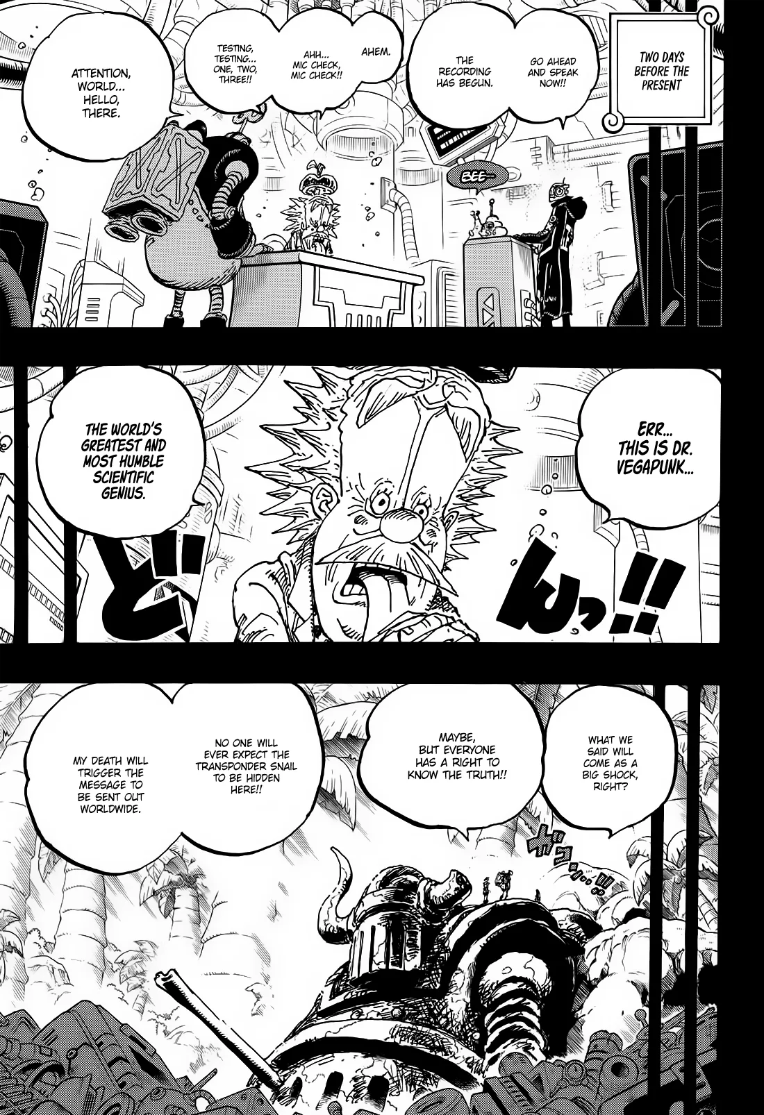 One Piece Chapter 1123 page 13